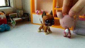 типы LPS в магазине