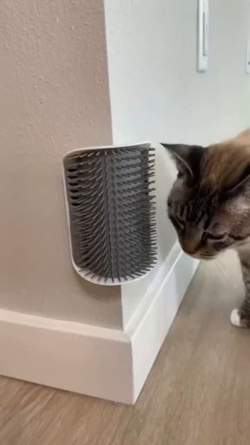 Чесалка для кота