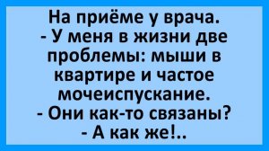 Доктор, у меня две проблемы: мыши в квартире и частое... | Анекдоты смешные | Юмор