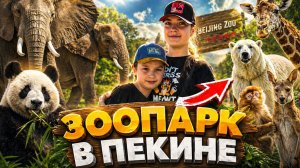 Зоопарк в Китае 🇨🇳 / МЫ В ШОКЕ!