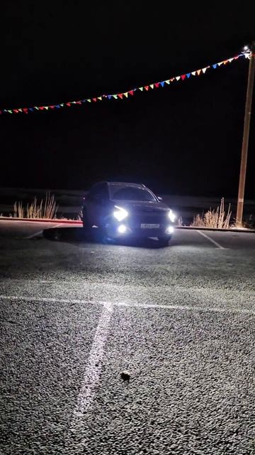 Хищники ночью не спят 