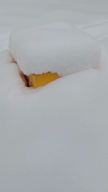 зимовка пчёл 