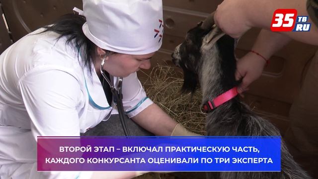 В Вологодской области выбирают лучшего ветеринарного фельдшера