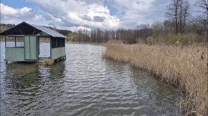 Весне навстречу