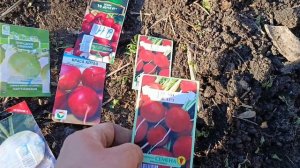 Начал сезон 2026