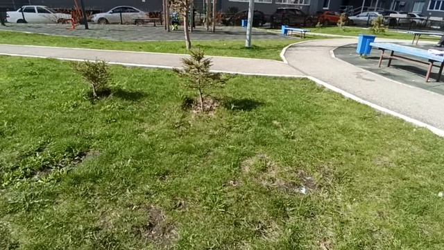 **ТЫ БЕСЦЕННЫЙ ДАР НЕБЕС**ВОТ ТАКАЯ КРАСОТА ВЕСНОЙ. ПОЛЁТ ЯСТРЕБА.