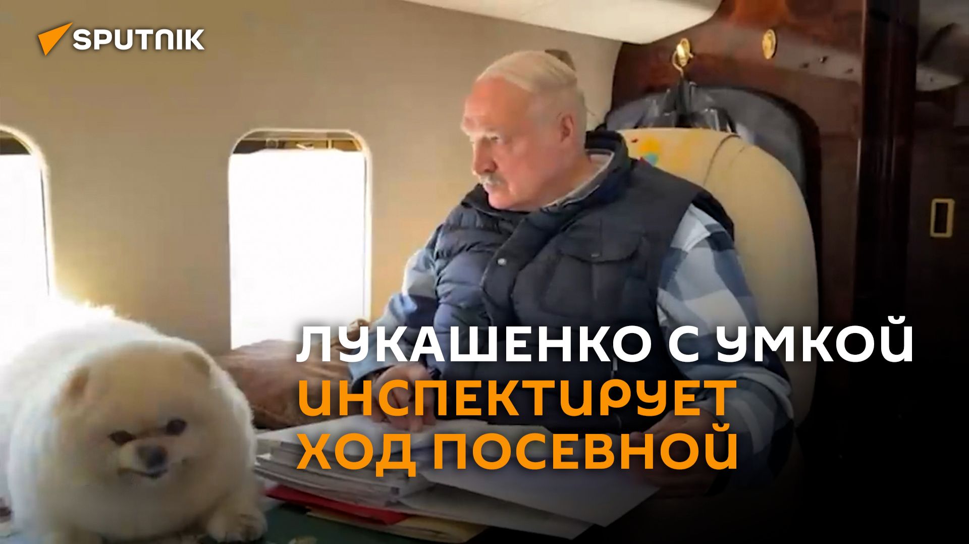 С Умкой на вертолете: Лукашенко инспектирует ход посевной в Минской области