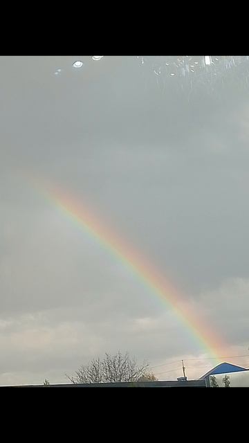 Несколько радуг запечатлённых на камеру