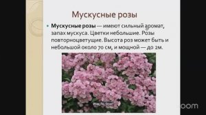 Уход за садом с Анастасией Борункова 23.4 14:00