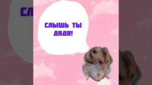 ребят это не смешно но это просто ........
увитете в комм