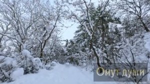 Иллюзия любви.