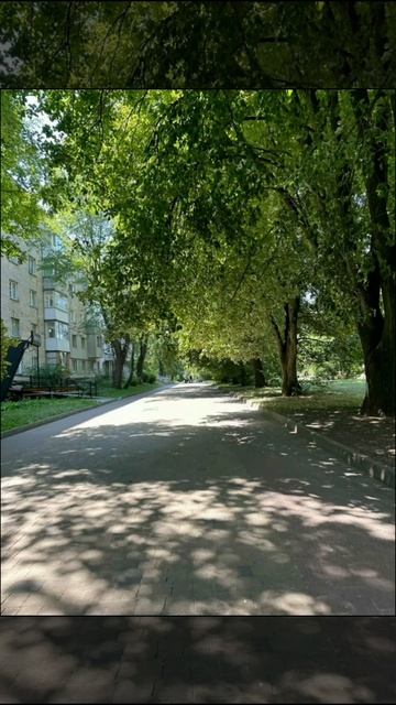 РяльностьVSожидание