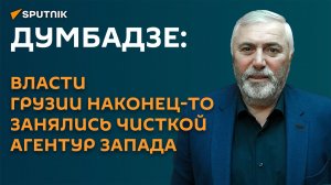 Думбадзе: власти Грузии наконец-то занялись чисткой агентур Запада