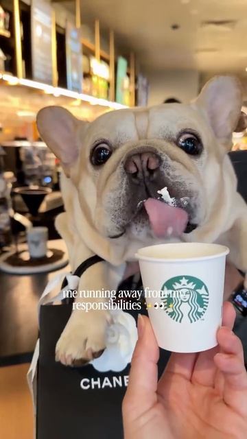 С бодрым утром🙂))