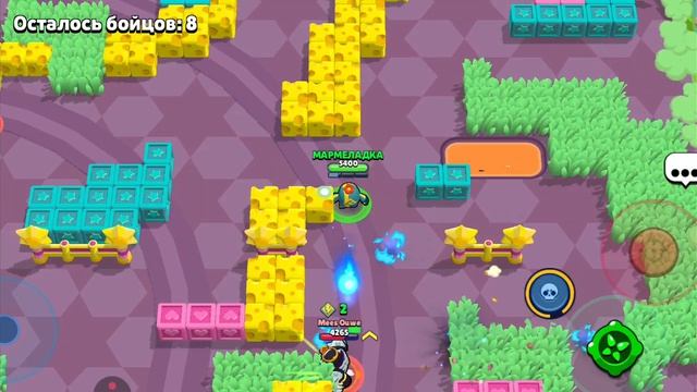 прайс на спайке