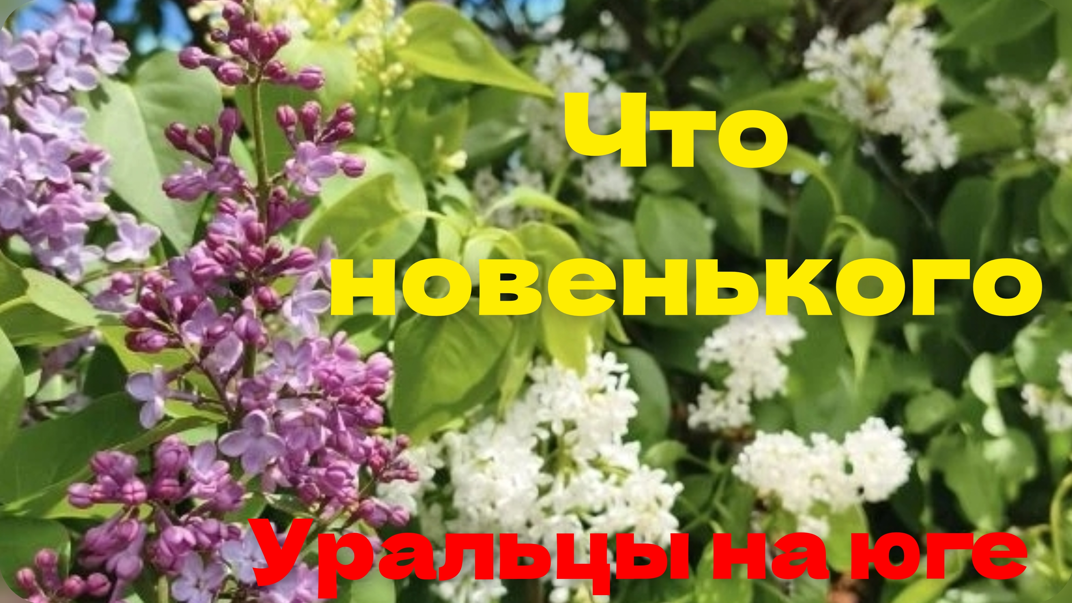 Уральцы на юге.Что новенького.
