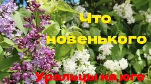 Уральцы на юге.Что новенького.