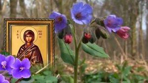 26 апреля день Фомаиды. Святая поможет восстановить душевное равновесие  избавиться от дурных мыслей