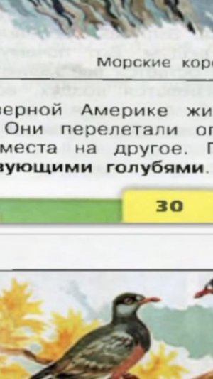 31 Учебник «Окружающий мир» для 3 класса (часть 1)