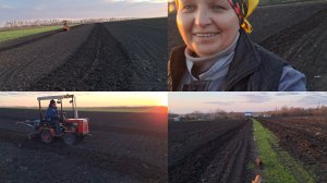 Огородные работы