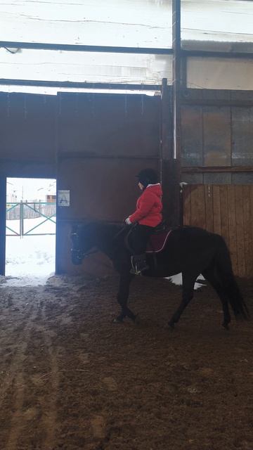 Макар и Наоми, учимся управлять и шагать на лошадке.