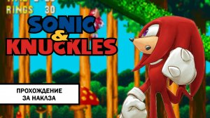 Sonic & Knuckles ➤ ПОЛНОЕ ПРОХОЖДЕНИЕ БЕЗ КОММЕНТАРИЕВ ЗА НАКЛЗА