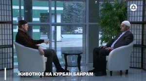 Голос разума. Обязательства хаджа