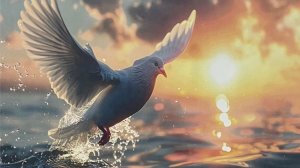 На заре ☀️☁️