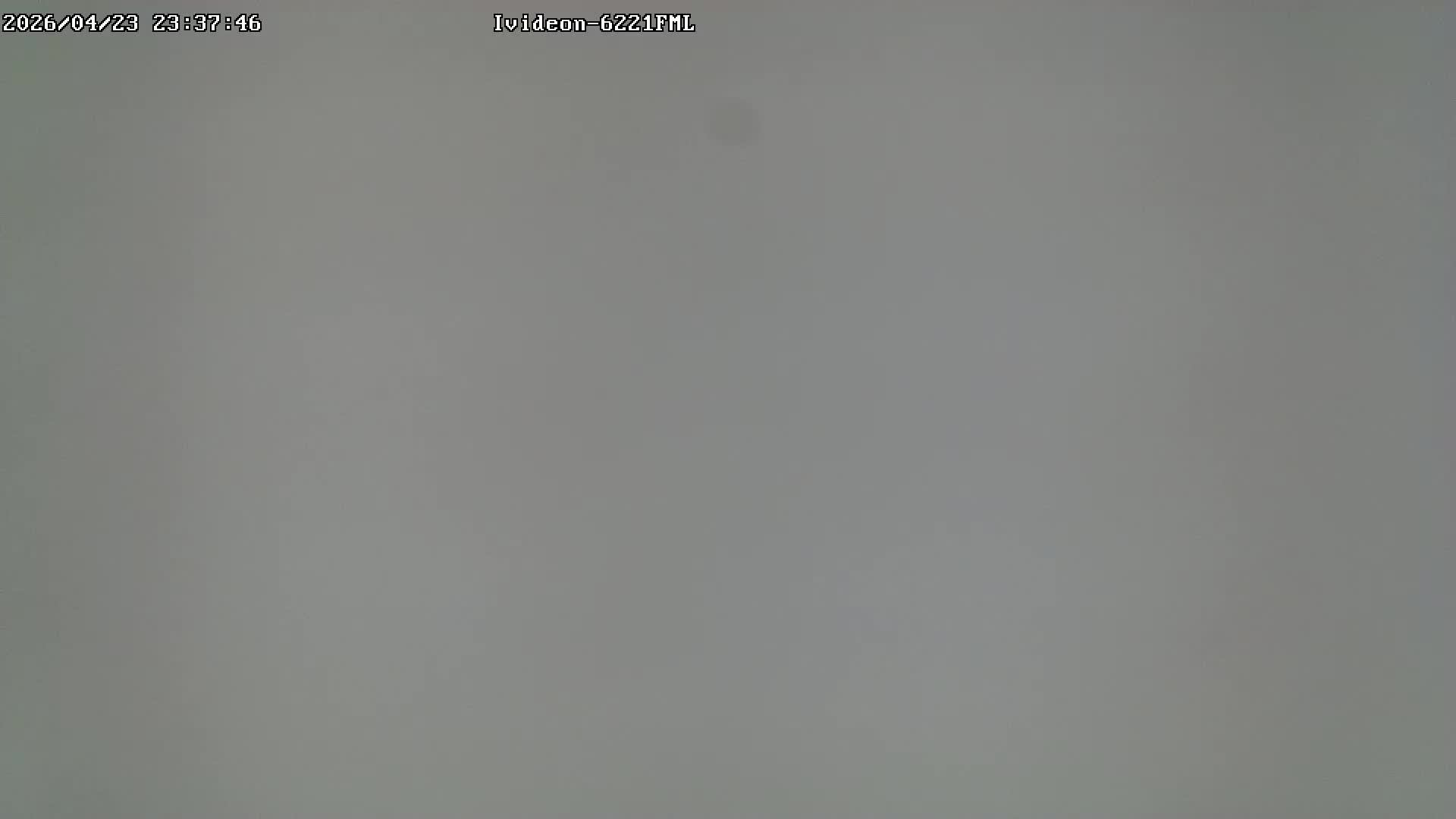 LIVE: channel43489494