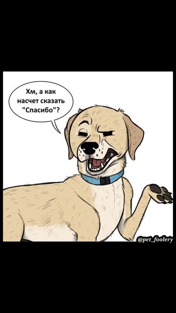 Лютые мемы Сына пришел