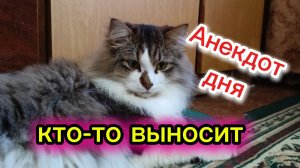 АНЕКДОТ ДНЯ. Юмор.