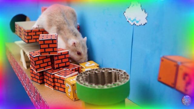 Приключение в лабиринте с хомяками! найдем спрятанное сокровище! часть 2