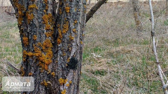 Внезапная Буря.mp4