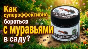 Муравьи на участке? Есть решение, проверенное природой!