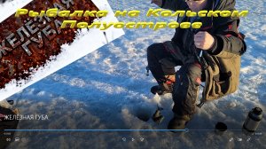 ЖЕЛЕЗНАЯ ГУБА. Проверка рыболовной точки на активный клев.