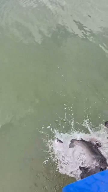 запуск23.04.mp4