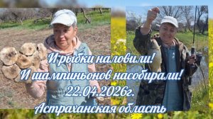 И рыбки наловили! И шампиньонов насобирали! 22.04.2026г. Астраханская область