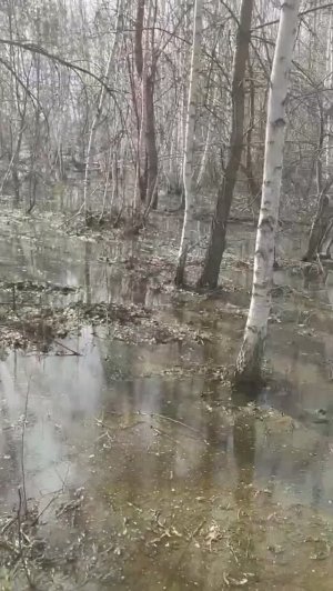 КП Пушкино Омской области в воде2