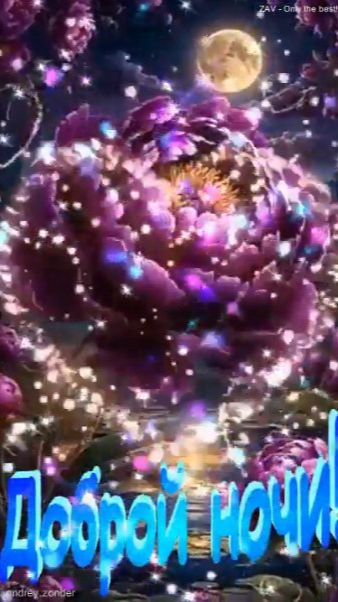 Доброй ночи!) Удивительных снов) #добройночи