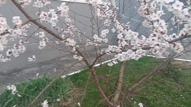 ХИТ АПРЕЛЯ**ТЁМНЫЙ ЭМПАТ**ПОСЛУШАЙТЕ.НЕОБЫЧНО.. ВОЗМОЖНО ПОНРАВИТСЯ. ОНАЯ . ПРОСТО КЛАССНО🚀🚀🚀