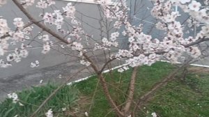 ХИТ АПРЕЛЯ**ТЁМНЫЙ ЭМПАТ**ПОСЛУШАЙТЕ.НЕОБЫЧНО.. ВОЗМОЖНО ПОНРАВИТСЯ. ЕСЛИ НАМ НЕ ОЧЕНЬ НО ЖИЗНЬ 🤔🤥