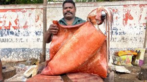 15-килограммовый кальмар на разделочном столе | ВИДЕО ПО РАЗДЕЛКЕ КАЛЬМАРОВ.