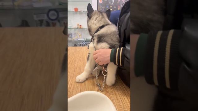 copy_90035E1A-29E8-453C-A365-F593F8151979