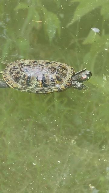 Личные отношения