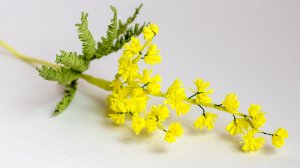 Мимоза из гофрированной бумаги. Весенние цветы