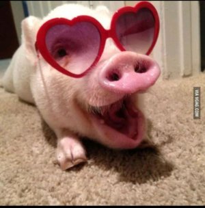 просто трансляция