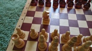 ШАХМАТЫ. КАК ХОДЯТ ФИГУРЫ. #Шахматы #Игра #Спорт