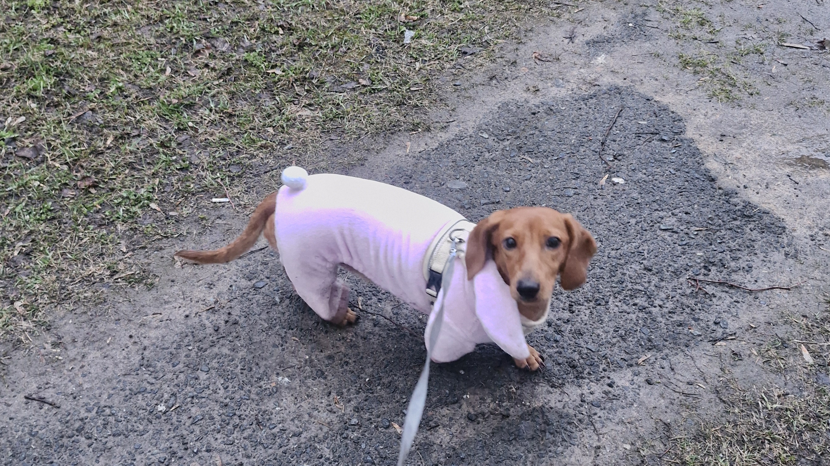 как всегда вечерняя прогулка 🤗