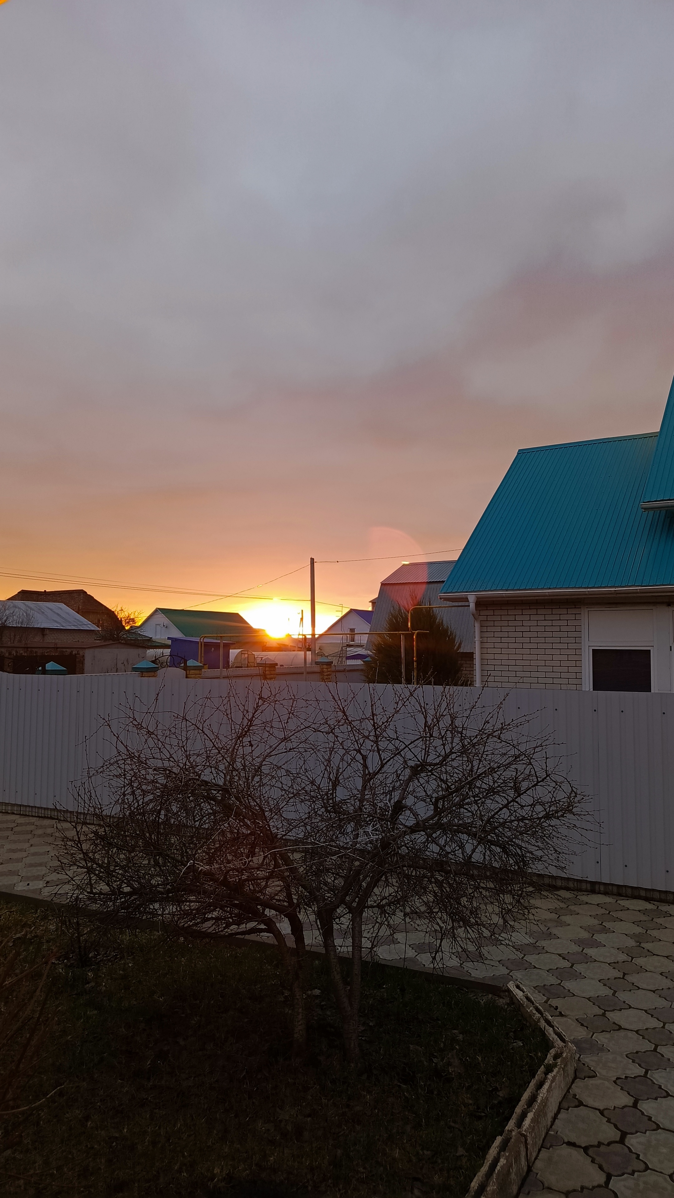 Небольшая нарезка виде за несколько дней. Наша погода птичка и котики.