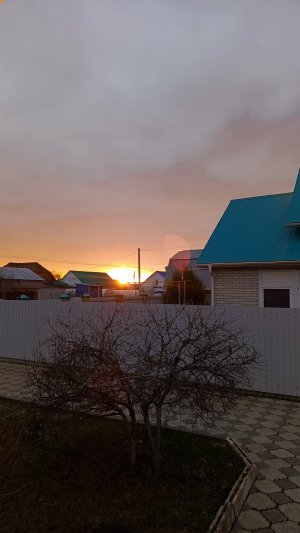 Небольшая нарезка виде за несколько дней🏡. Наша погода☀️, птичка🪿🐓🦆 и котики🐈⬛.